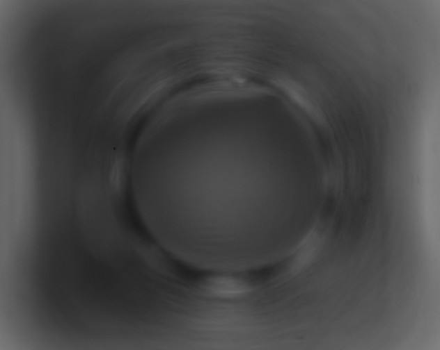 X0000100910167200807081132