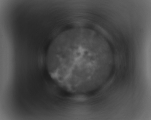 X0000100910169200807081132