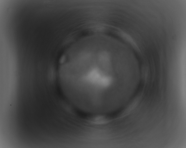 X0000100910173200807081132