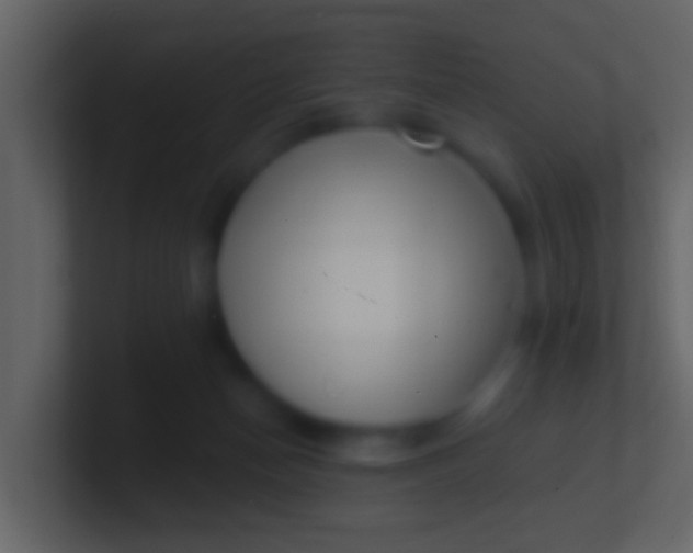 X0000100910174200807081132