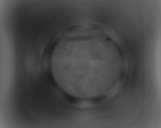 X0000100910175200807081132