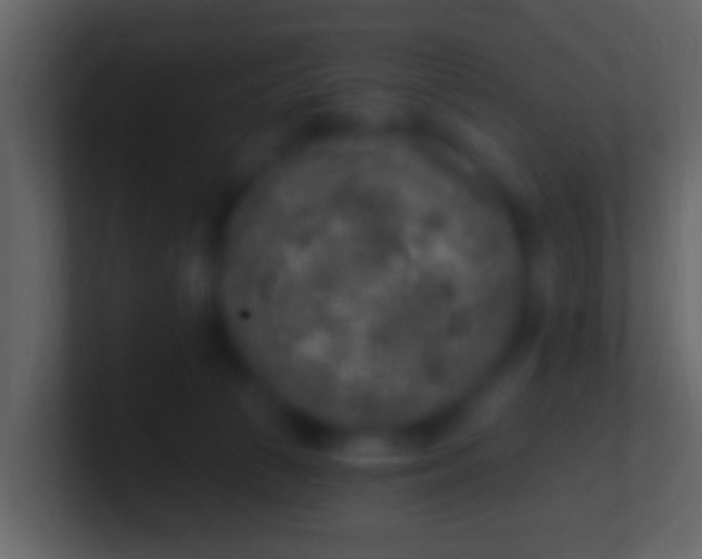 X0000100910177200807081132