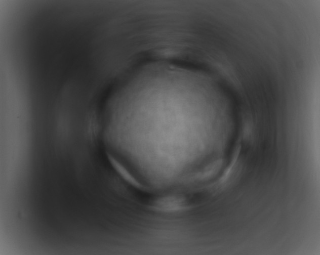 X0000100910179200807081132