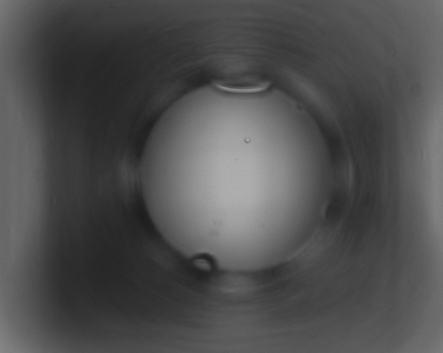 X0000100910180200807081132