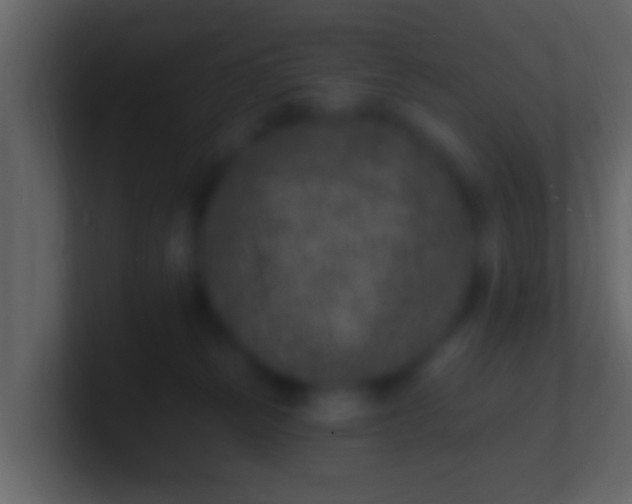 X0000100910181200807081132