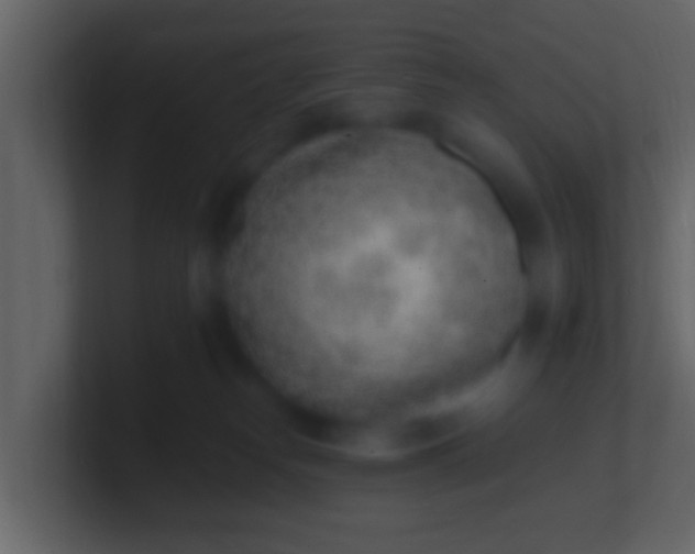 X0000100910182200807081132