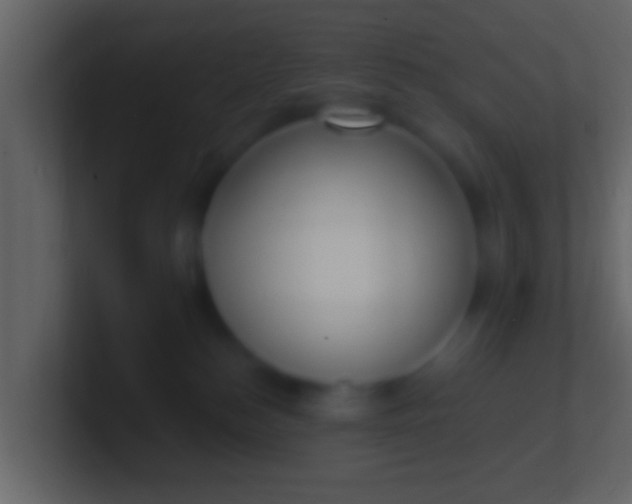 X0000100910184200807081132