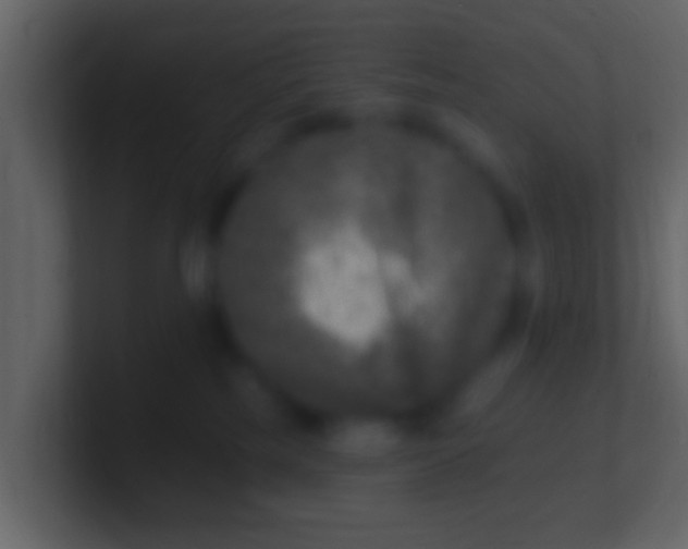 X0000100910185200807081132