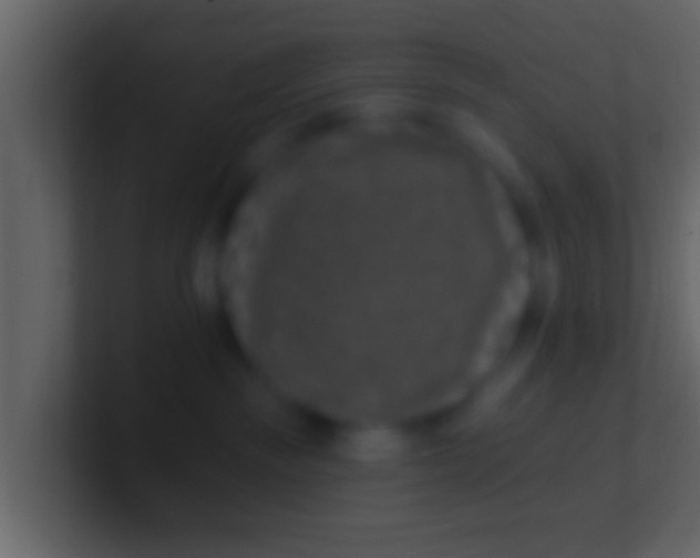 X0000100910189200807081132