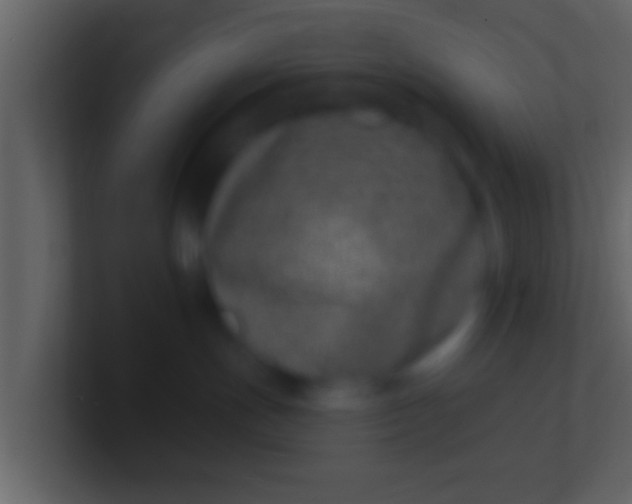 X0000100910191200807081132