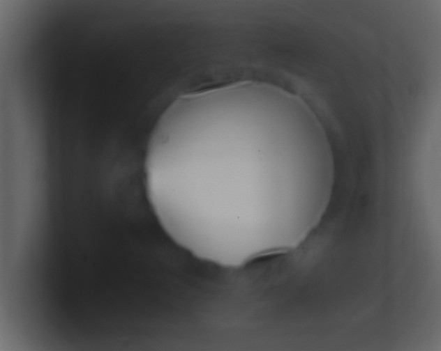 X0000100910192200807081132