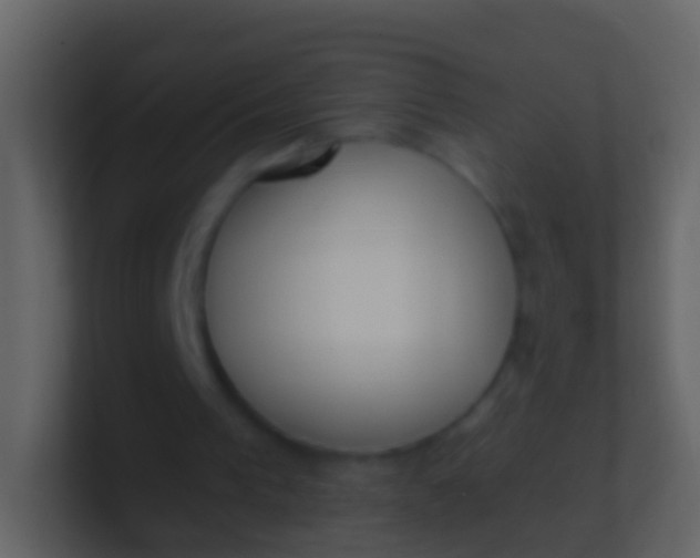 X0000100910193200807081131