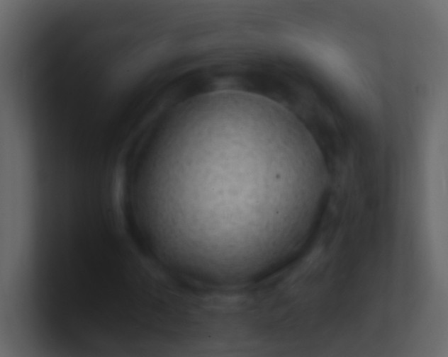 X0000100910194200807081131