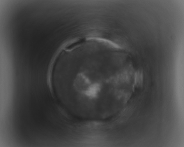 X0000100910195200807081131