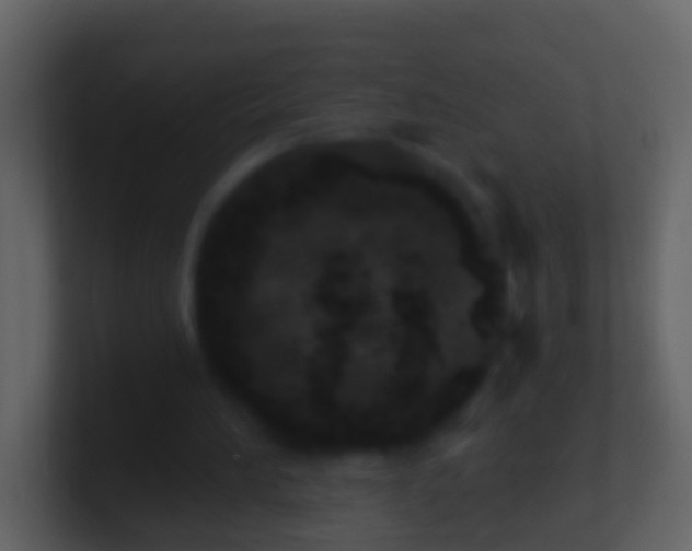X0000100910196200807081131