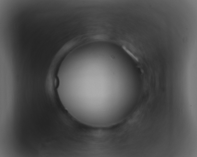 X0000100910197200807081131