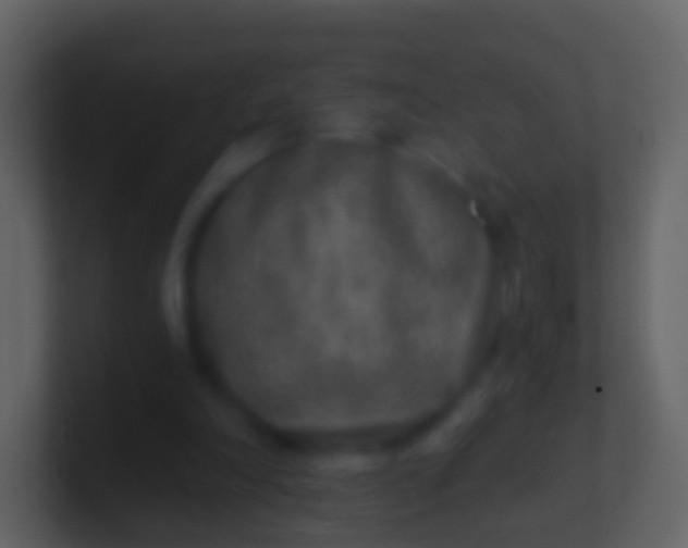 X0000100910198200807081131