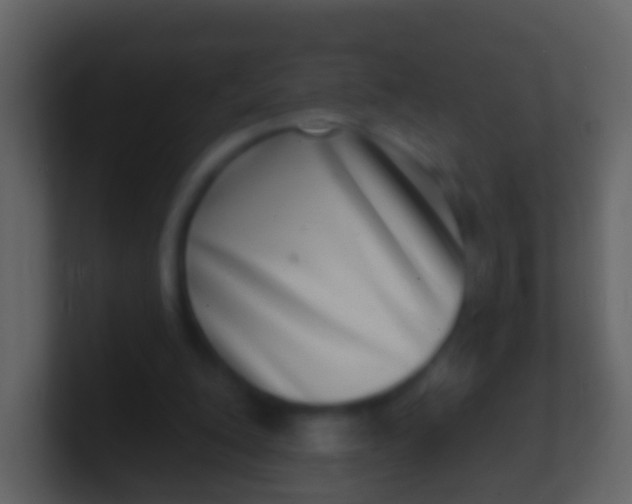 X0000100910200200807081131