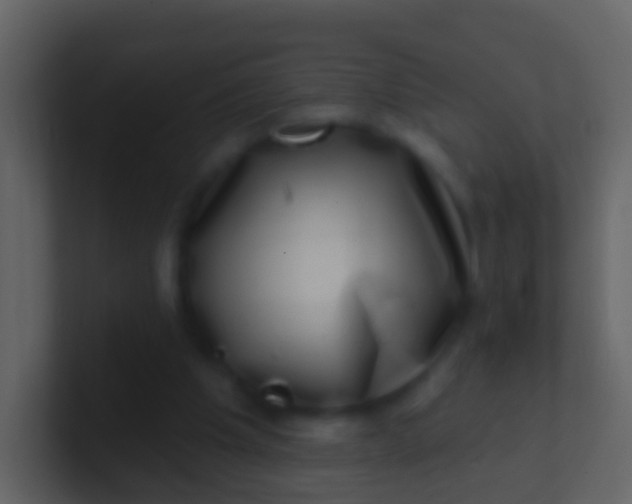 X0000100910201200807081131