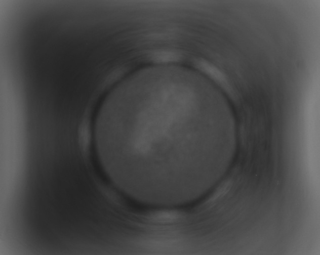 X0000100910202200807081131