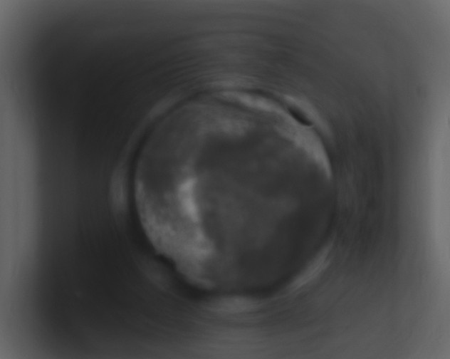 X0000100910203200807081131
