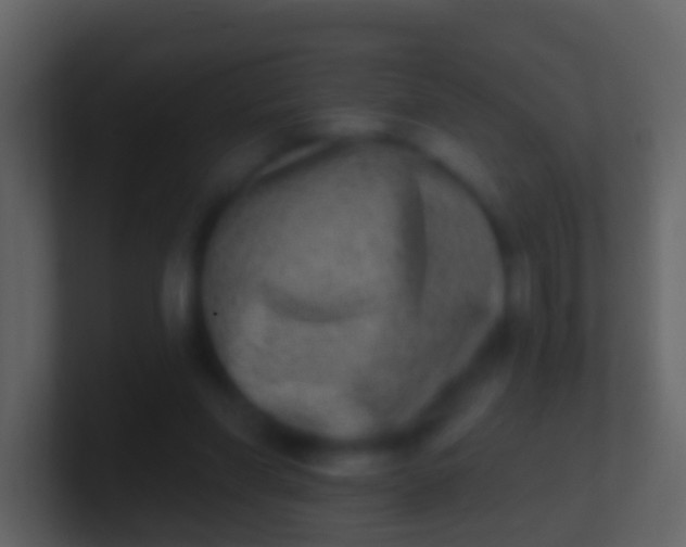 X0000100910206200807081131