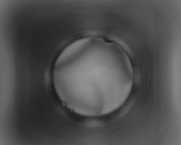 X0000100910207200807081131