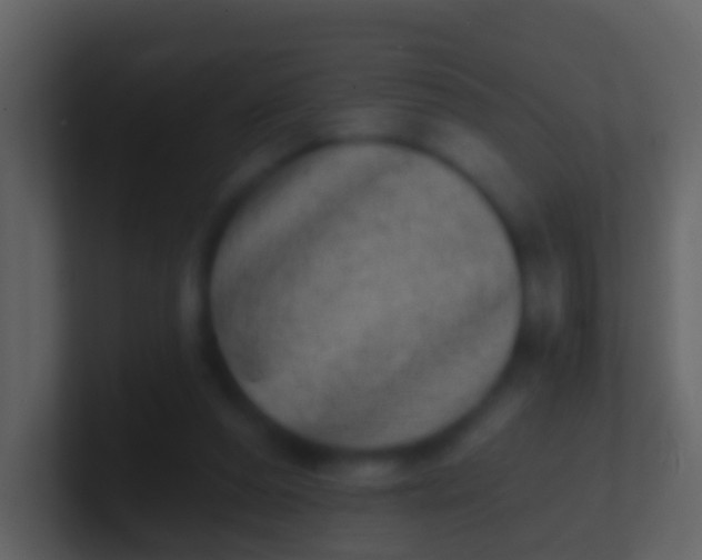 X0000100910208200807081131