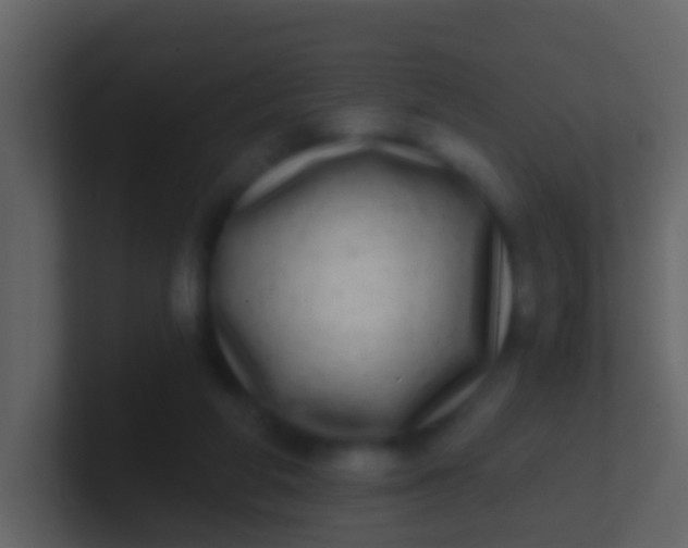 X0000100910210200807081131
