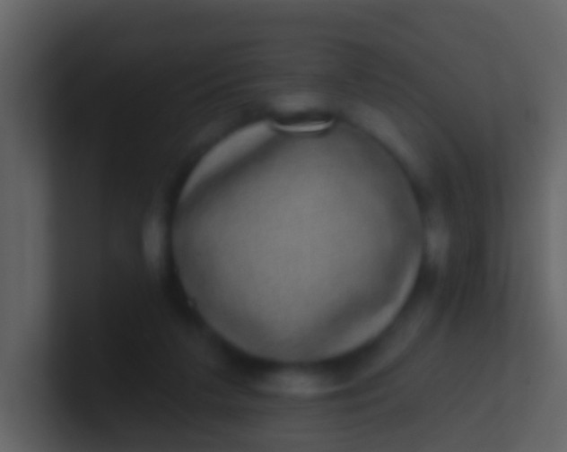 X0000100910211200807081131