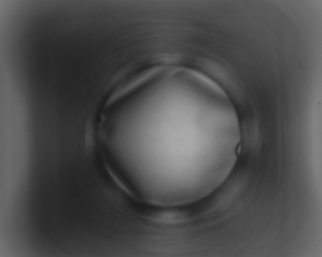 X0000100910212200807081131