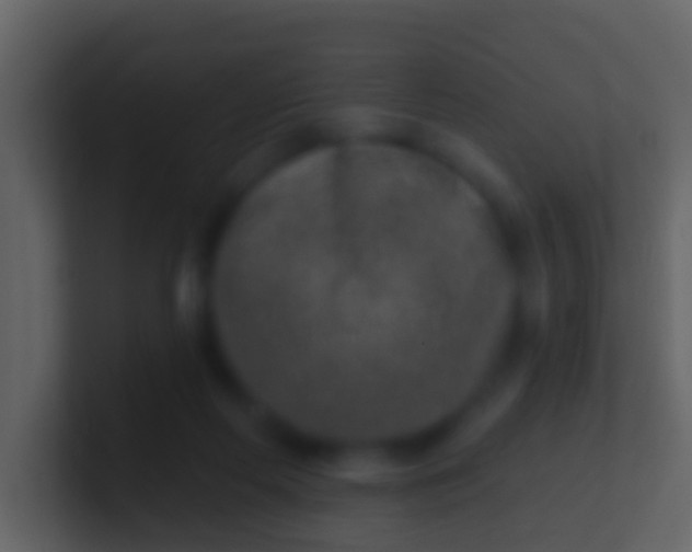 X0000100910214200807081131