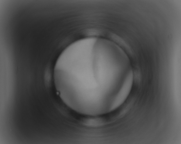 X0000100910215200807081131