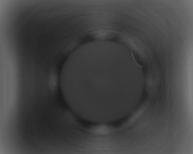 X0000100910219200807081131