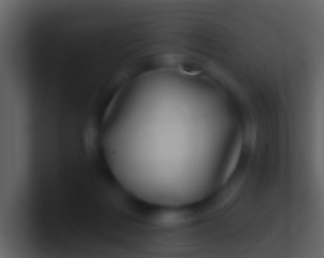 X0000100910220200807081131