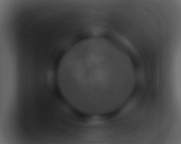 X0000100910222200807081131
