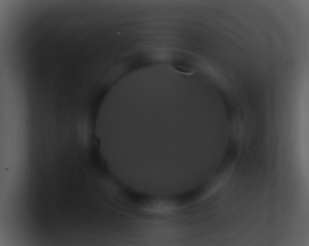 X0000100910223200807081131