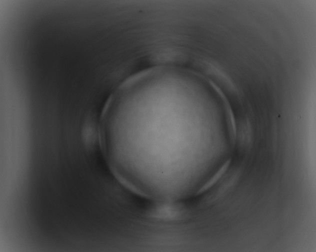 X0000100910226200807081131
