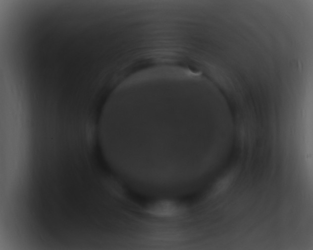 X0000100910227200807081131