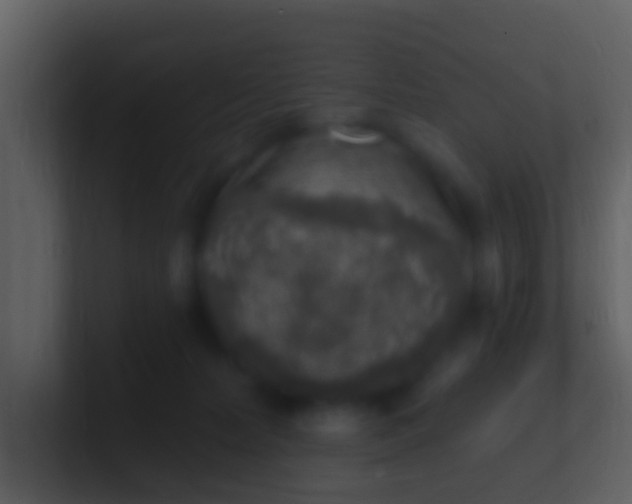 X0000100910228200807081131