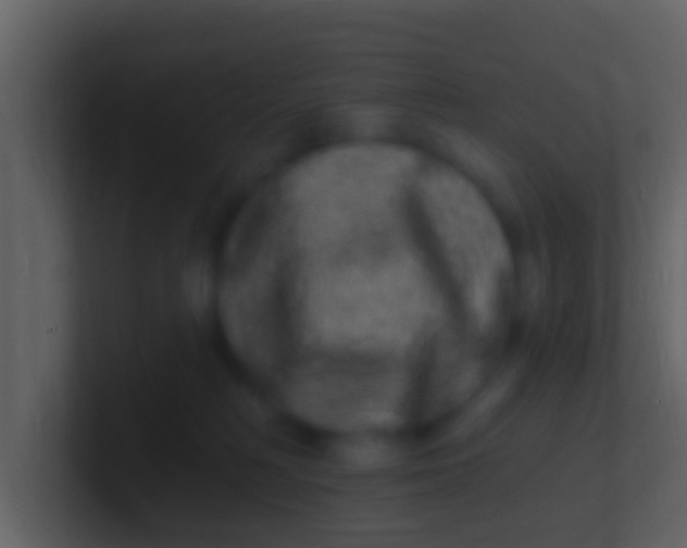 X0000100910230200807081131