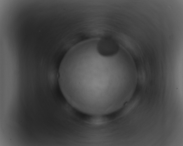 X0000100910231200807081131