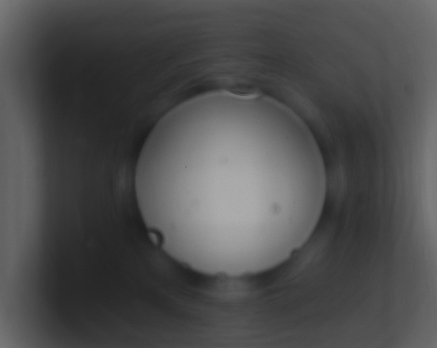 X0000100910233200807081131