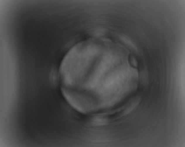 X0000100910234200807081131