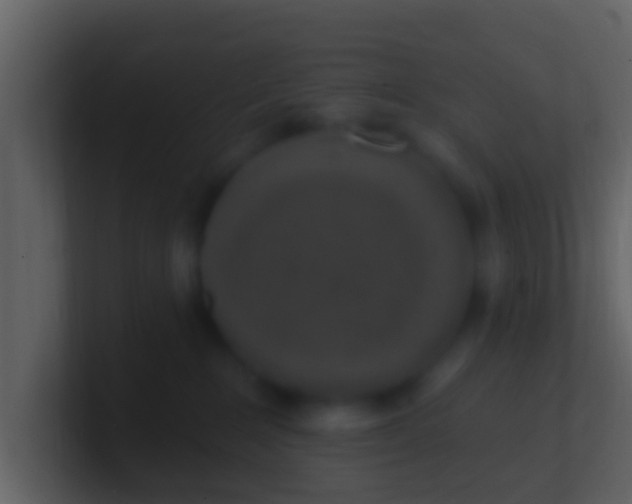 X0000100910235200807081131