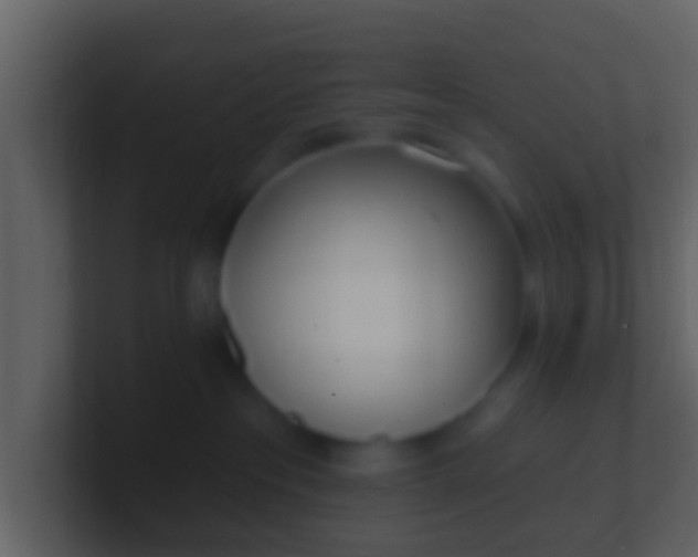 X0000100910237200807081131