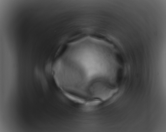 X0000100910238200807081131