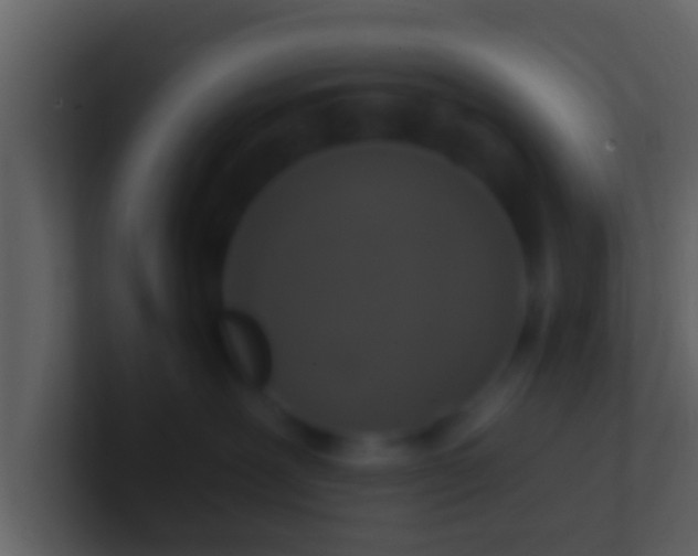 X0000100910239200807081131