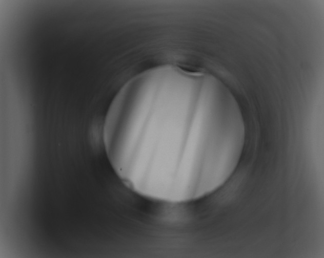 X0000100910240200807081131