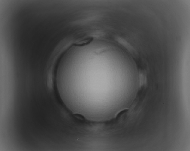X0000100910243200807081130